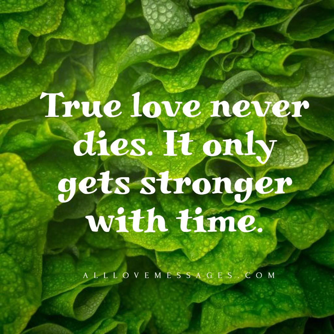 True love can never die