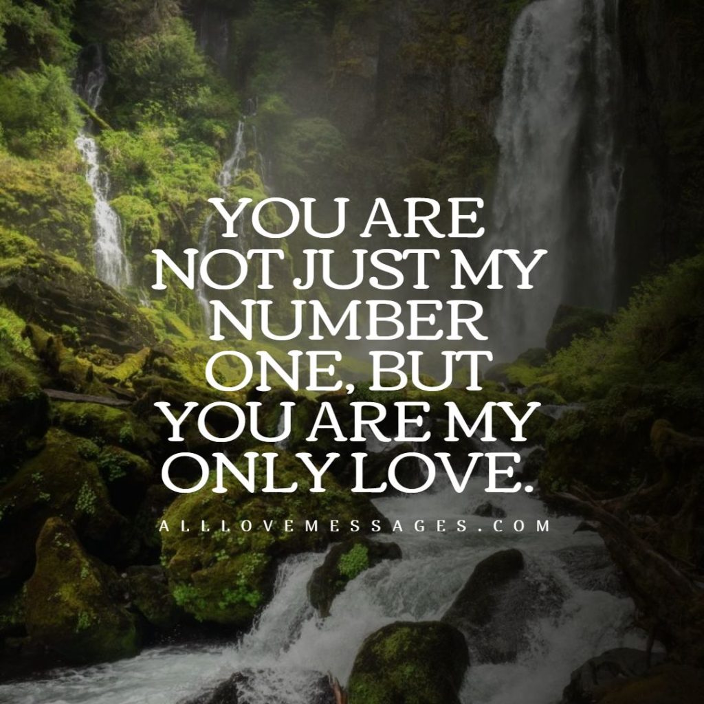 44 How Much I Love You Quotes All Love Messages