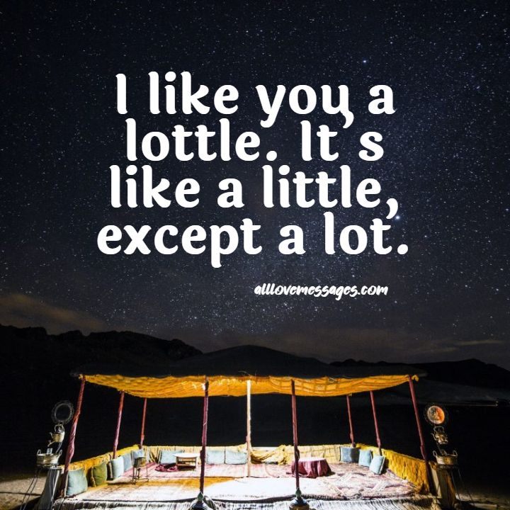 62 I Like You Alot Quote