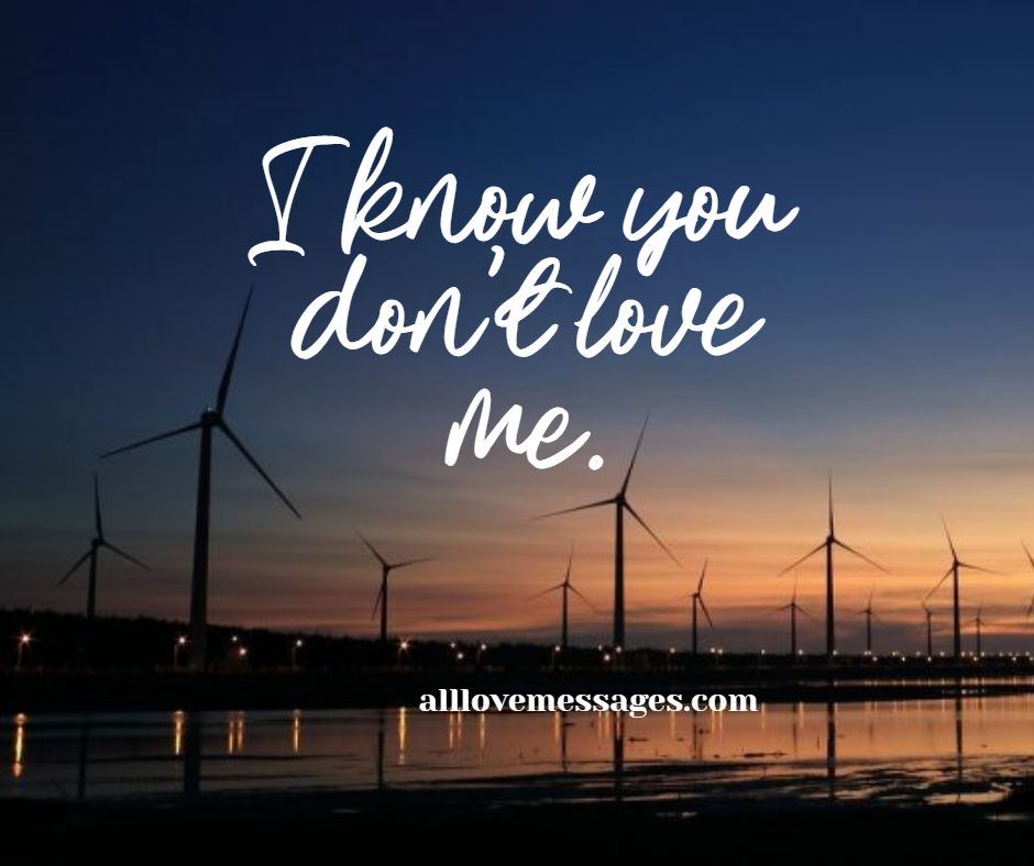 66 You Don't Love Me Quotes