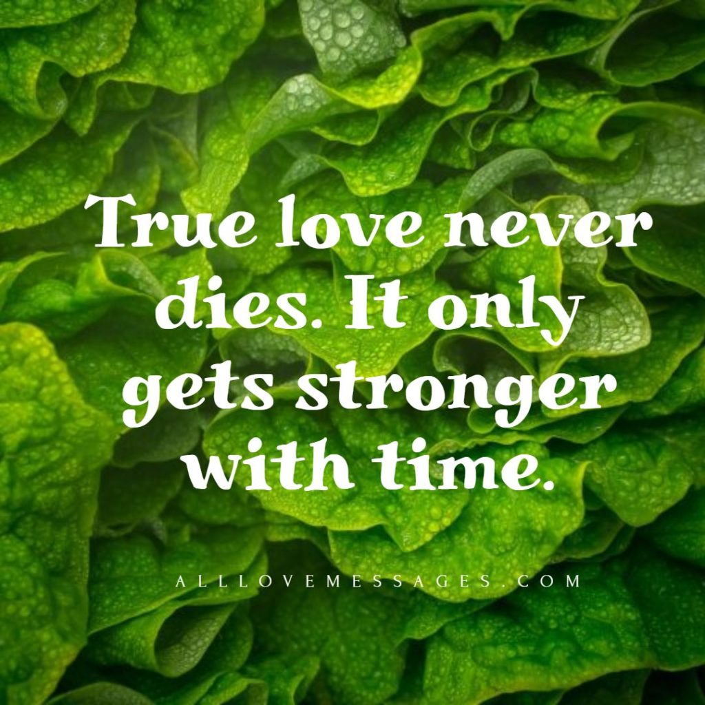 29 True Love Never Die Quotes All Love Messages