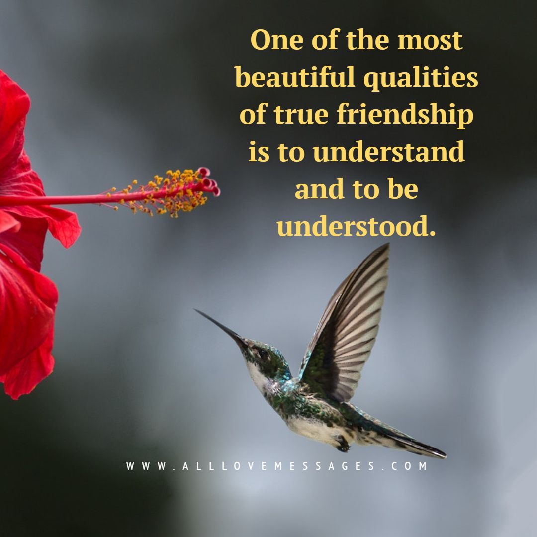 Strong Friendship Bond Quotes - All Love Messages