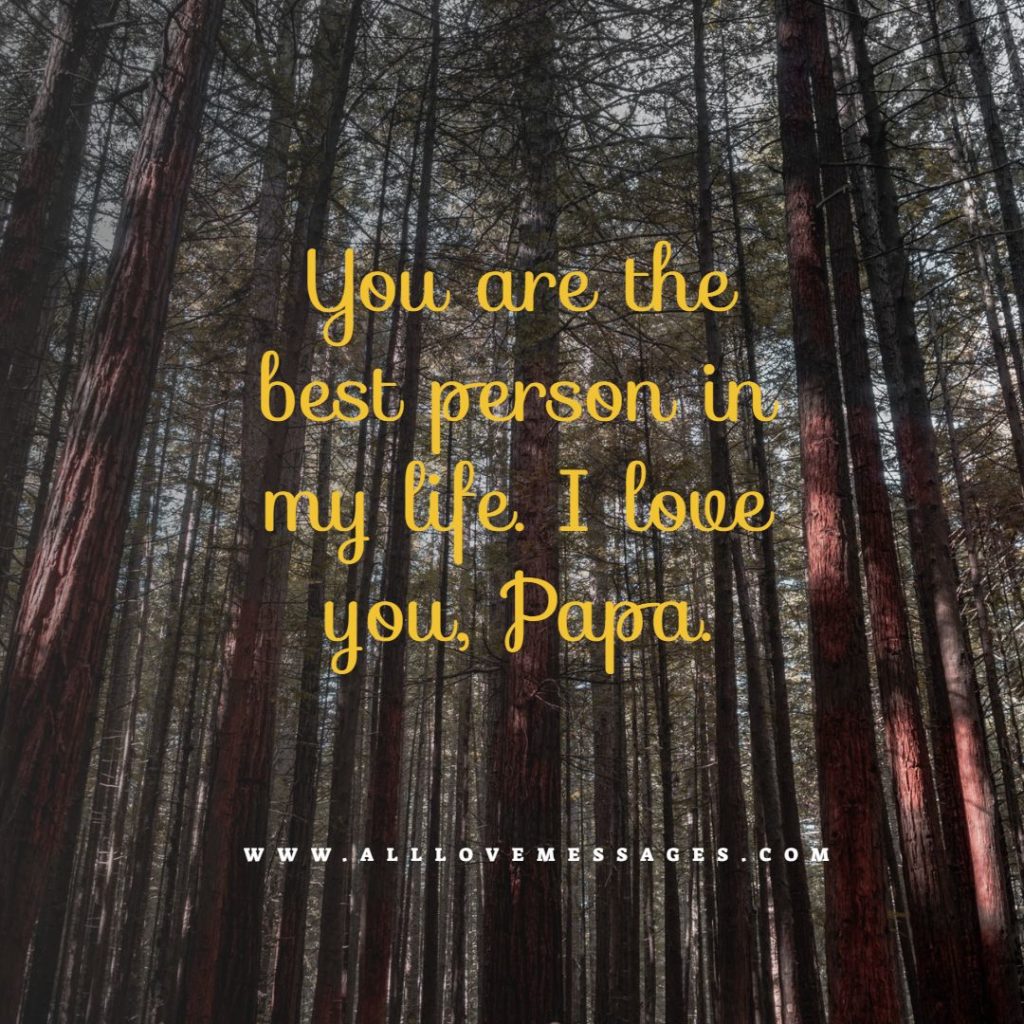 38-i-love-u-daddy-quotes-all-love-messages