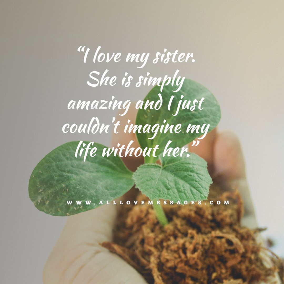 15 I Love My Little Sister Quotes